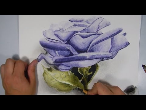 cómo dibujar flores realistas - Drawing Flowers, dibujos de Una Flor Realista, como dibujar Una Flor Realista paso a paso