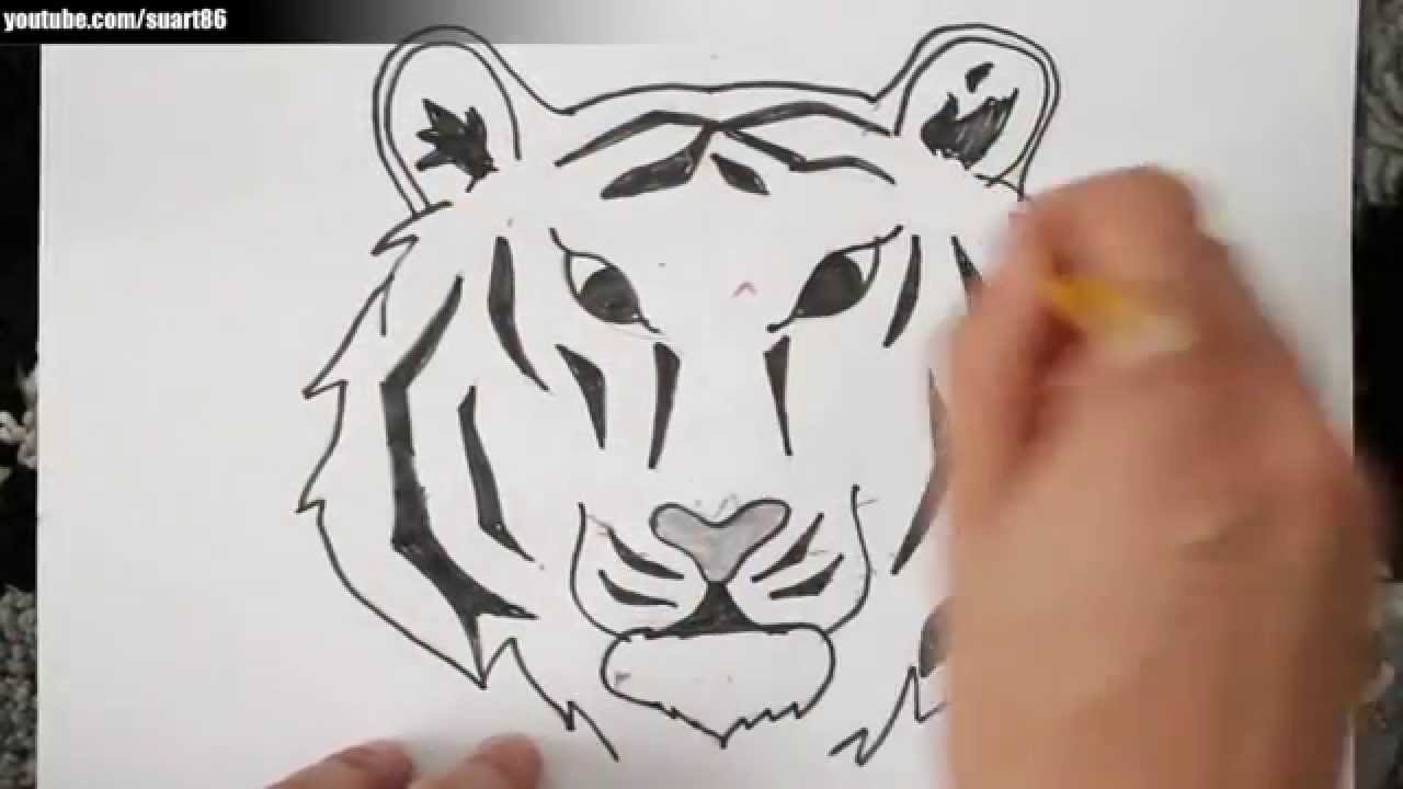 Como dibujar un tigre paso a paso, dibujos de La Cara De Un Tigre, como dibujar La Cara De Un Tigre paso a paso