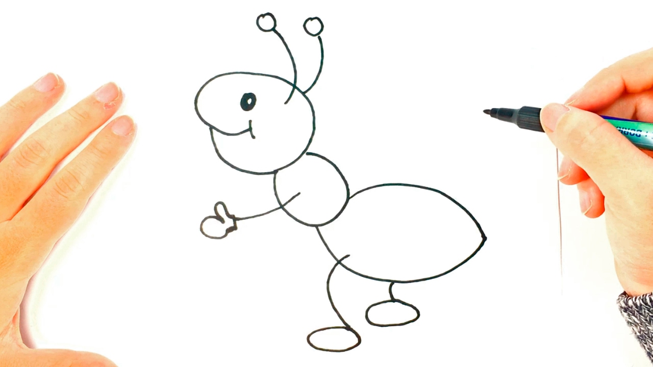 Cómo dibujar una Hormiga paso a paso  Dibujo fácil de Hormiga, dibujos de Hormigas, como dibujar Hormigas paso a paso