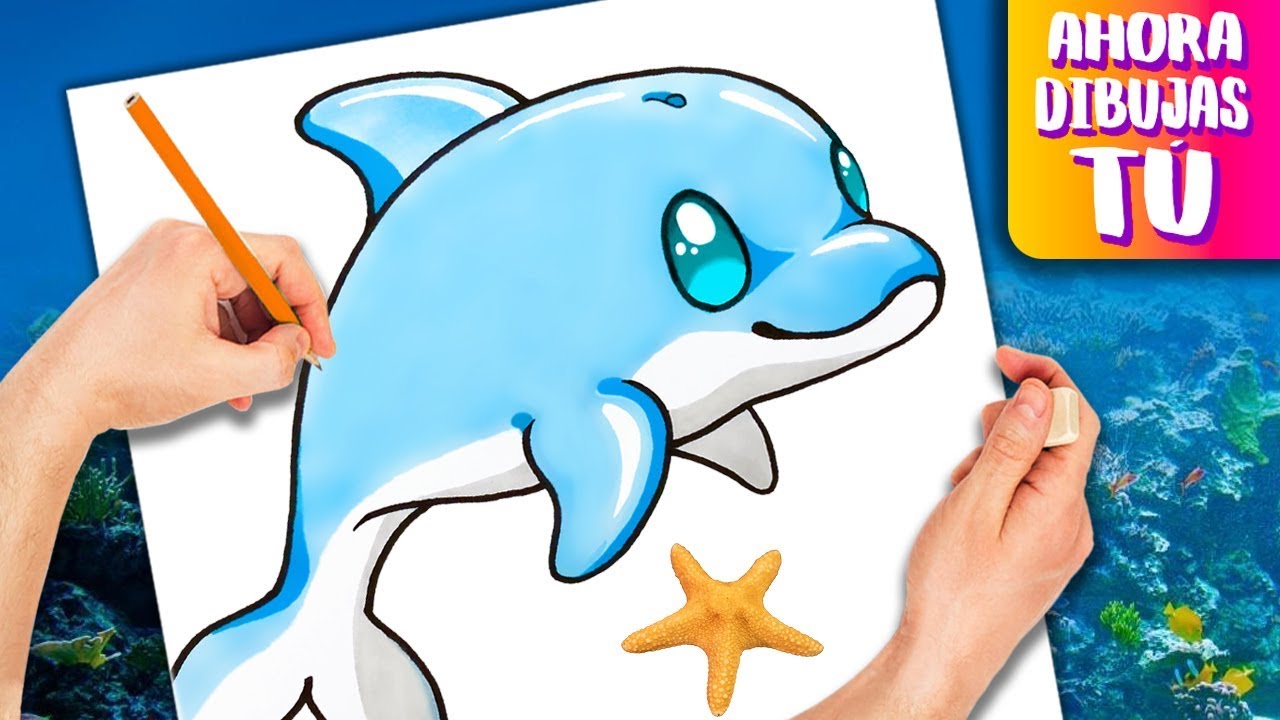 How to draw a DOLPHIN - KAWAII Drawings, dibujos de Delfín Kawaii, como dibujar Delfín Kawaii paso a paso
