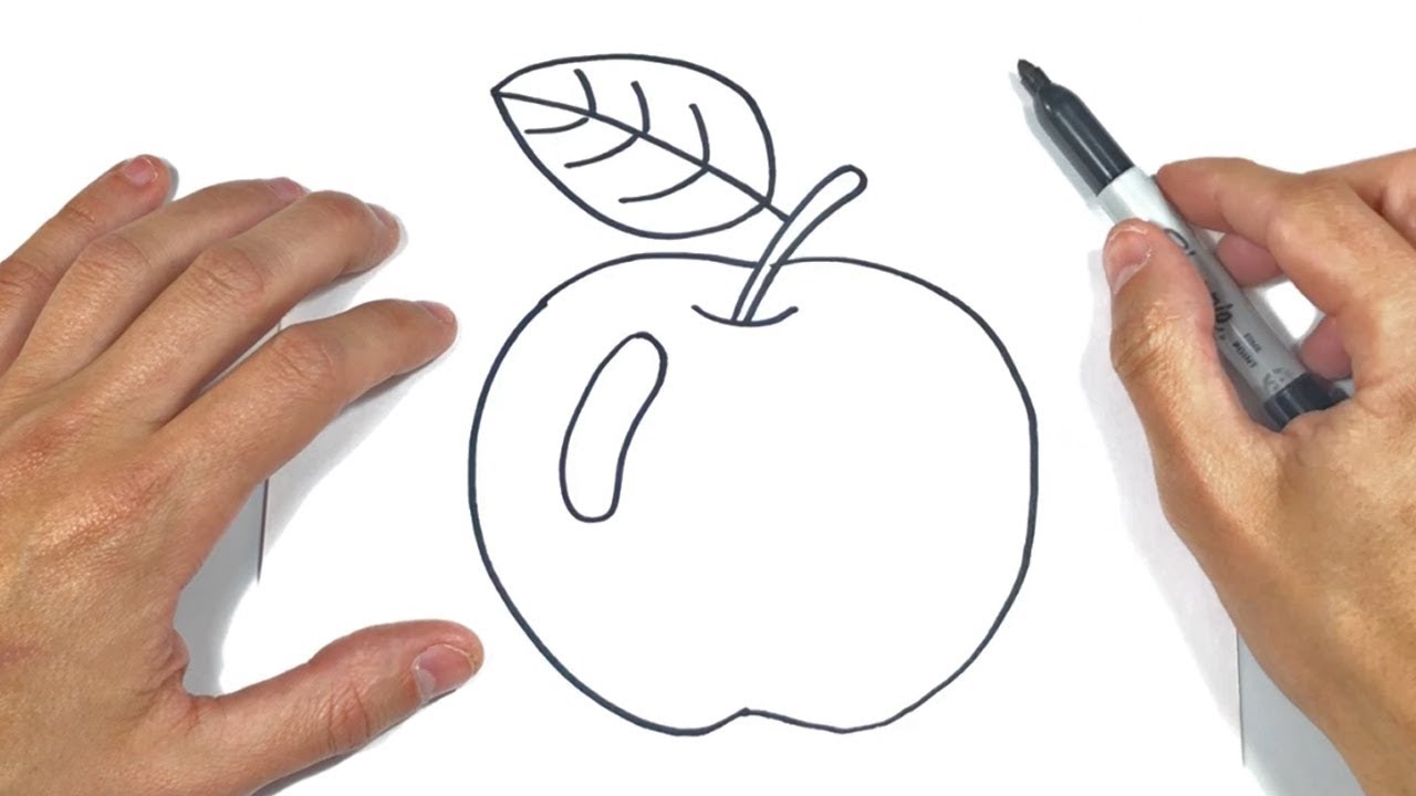 Cómo dibujar una Manzana Paso a Paso  Dibujo de Manzana, dibujos de Una Manzana, como dibujar Una Manzana paso a paso