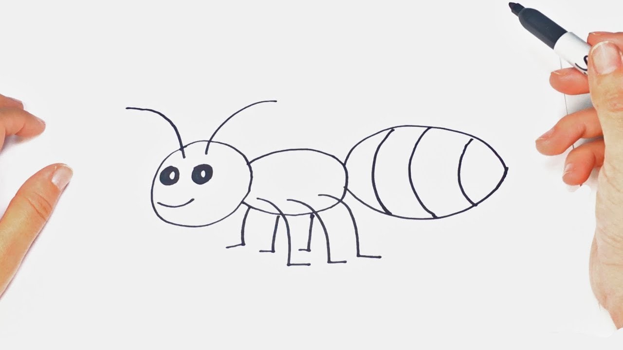 Cómo dibujar un Insecto para niños  Dibujo de Insecto paso a paso, dibujos de Bichos, como dibujar Bichos paso a paso