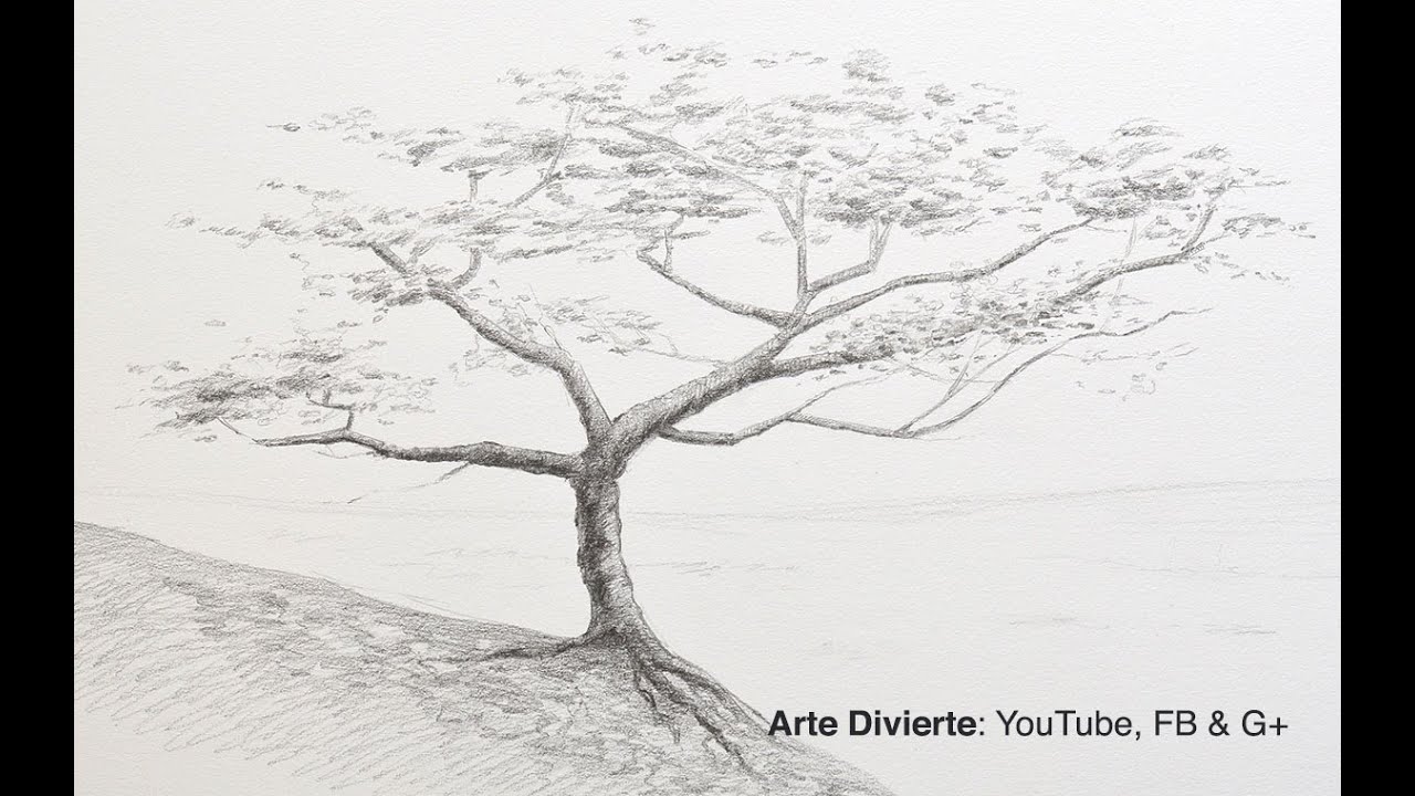 How to draw a tree in pencil, dibujos de Árboles A Lápiz, como dibujar Árboles A Lápiz paso a paso