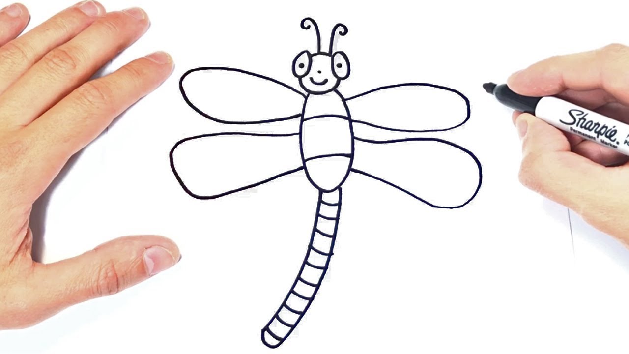 Cómo dibujar una Libelula Paso a Paso  Dibujos de Insectos, dibujos de Una Libélula, como dibujar Una Libélula paso a paso