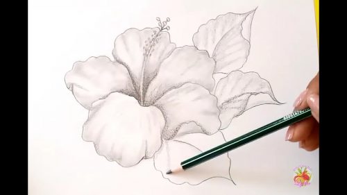 Cómo Dibujar Una Flor Realista 】 Paso A Paso Muy Fácil 2024 Dibuja Fácil 