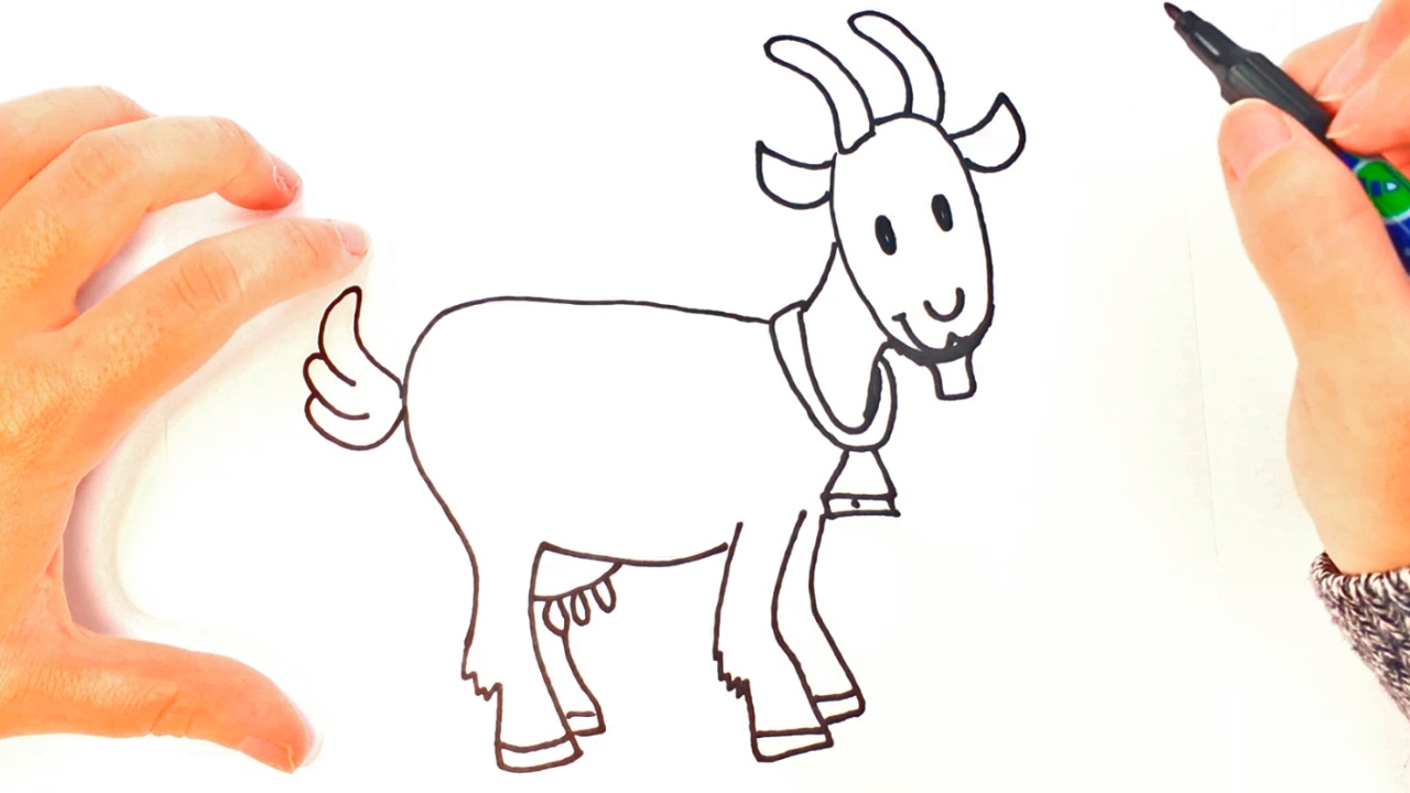 Cómo dibujar una Cabra paso a paso  Dibujo fácil de Cabra, dibujos de Una Cabra, como dibujar Una Cabra paso a paso