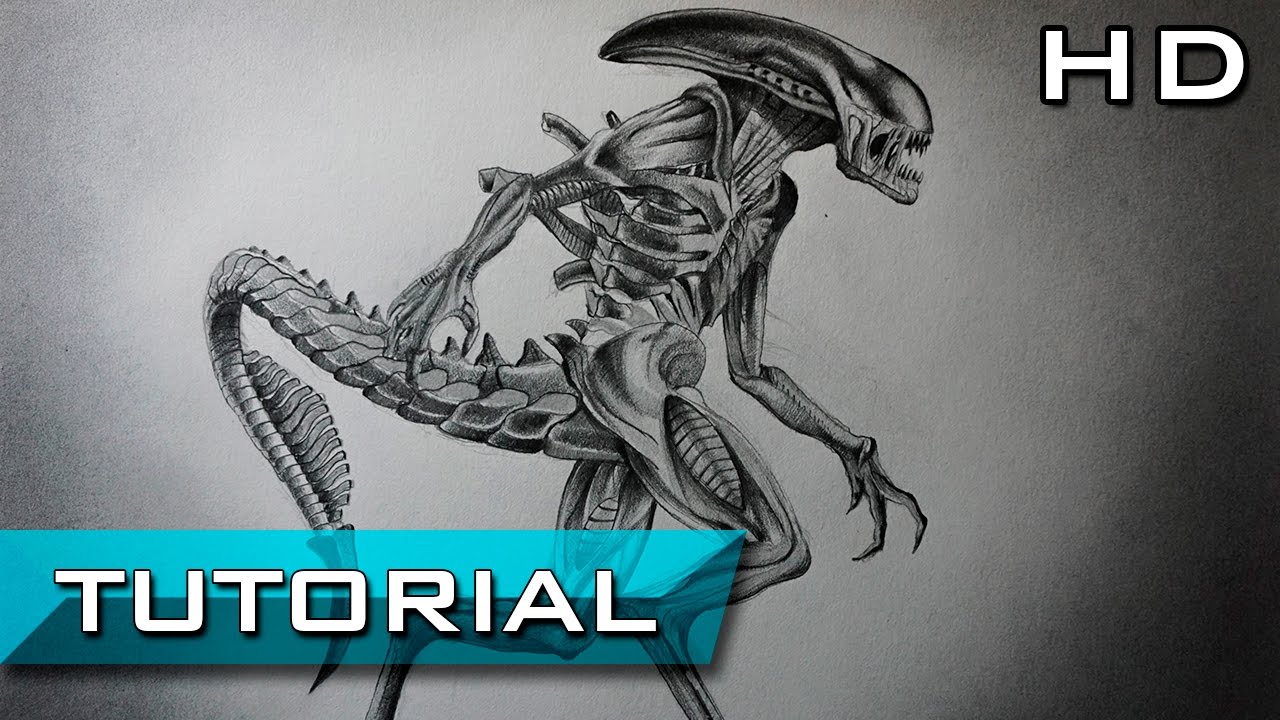 Cómo Dibujar a Xenomorph de Alien Covenant a Lápiz Paso a Paso - Dibujo de  Prometheus 2 - Tutorial, dibujos de Un Xenomorfo, como dibujar Un Xenomorfo paso a paso