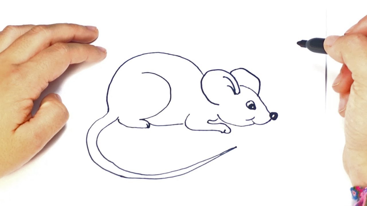 Como dibujar un Ratoncito paso a paso  Dibujo facil de Ratoncito, dibujos de Un Ratón, como dibujar Un Ratón paso a paso