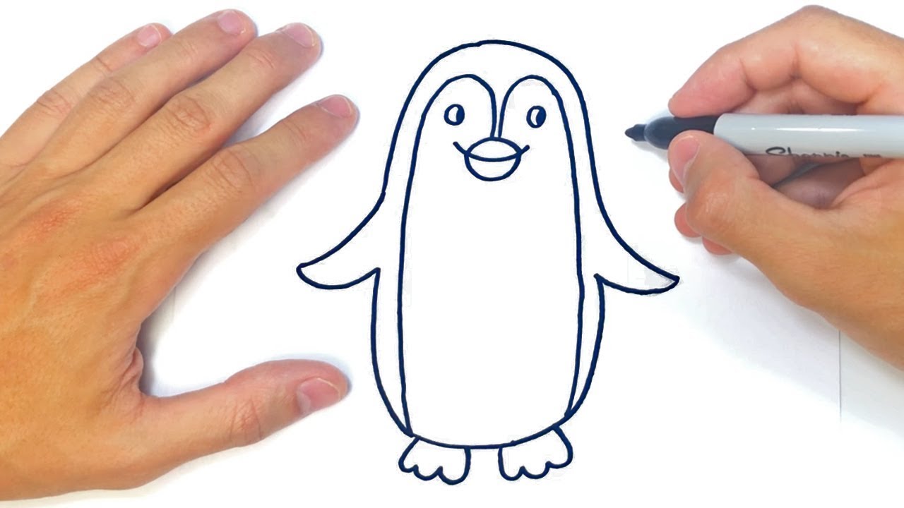 Como Dibujar Un Pinguino Facil Para Niños Paso A Paso