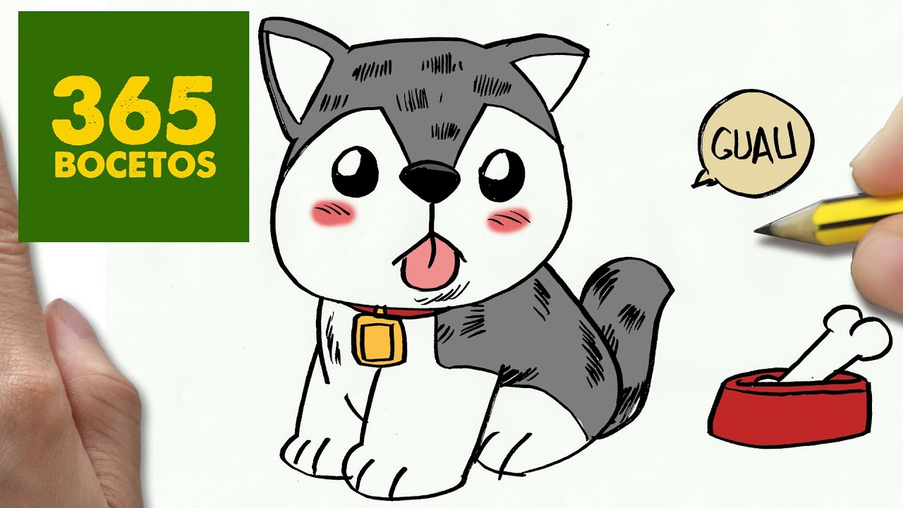 COMO DIBUJAR UN PERRO HUSKY PASO A PASO: Os enseñamos a dibujar un perro  fácil para niños, dibujos de Un Perro Husky, como dibujar Un Perro Husky paso a paso