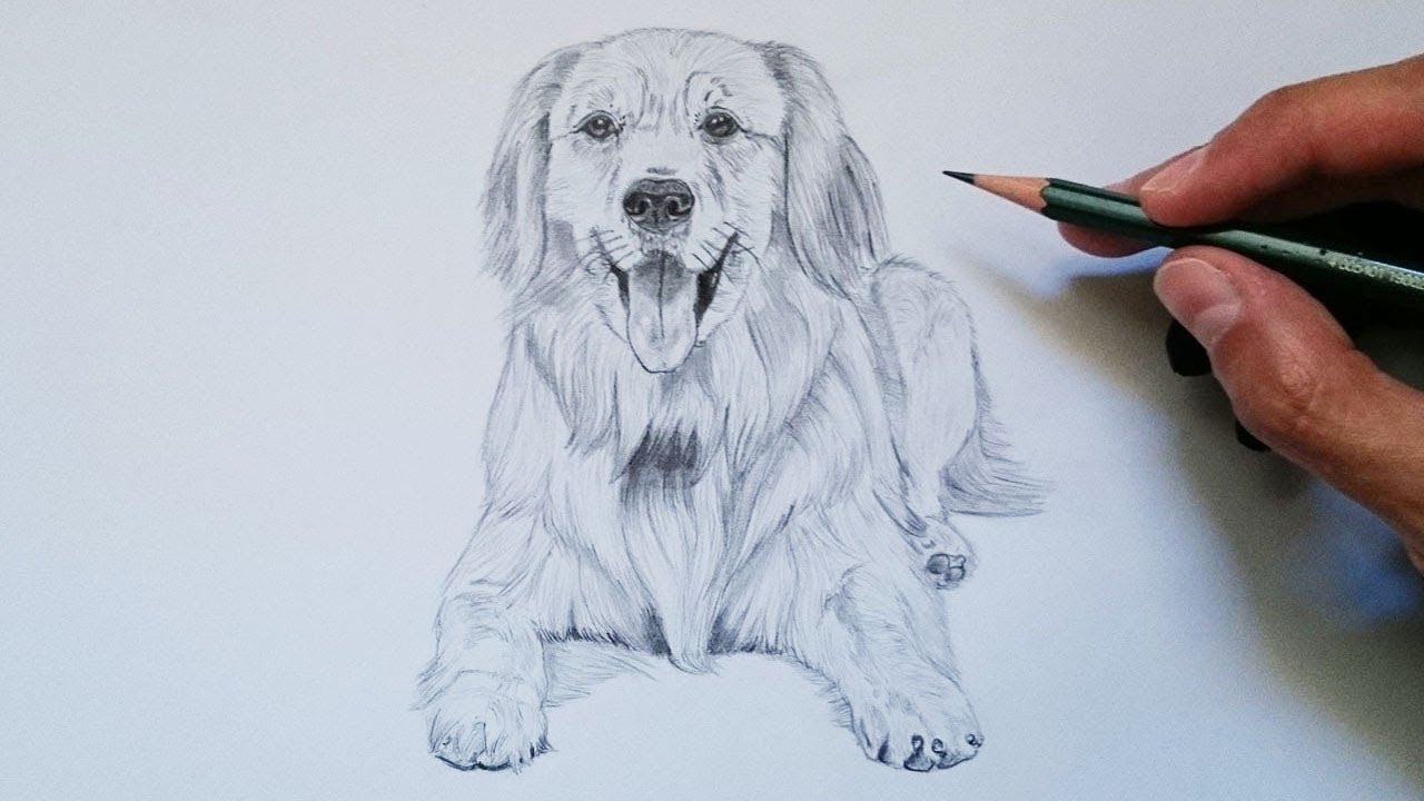 APRENDE cómo DIBUJAR un PERRO realista PASO A PASO  MUY FÁCIL 🐶😄✅, dibujos de Un Perro Realista, como dibujar Un Perro Realista paso a paso
