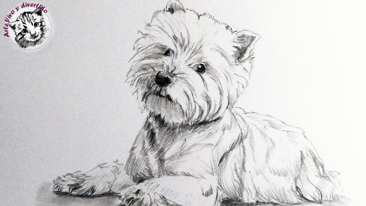 Como Dibujar un Perro Realista con Lapiz Paso a Paso y muy Facil, dibujos de Un Perro Realista, como dibujar Un Perro Realista paso a paso