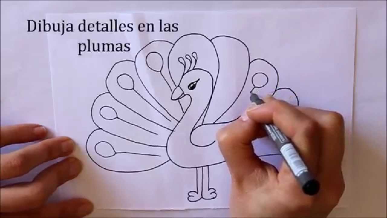 Cómo dibujar un Pavo Real Dibuja Conmigo Dibujos de Animales, dibujos de Un Pavo Real, como dibujar Un Pavo Real paso a paso