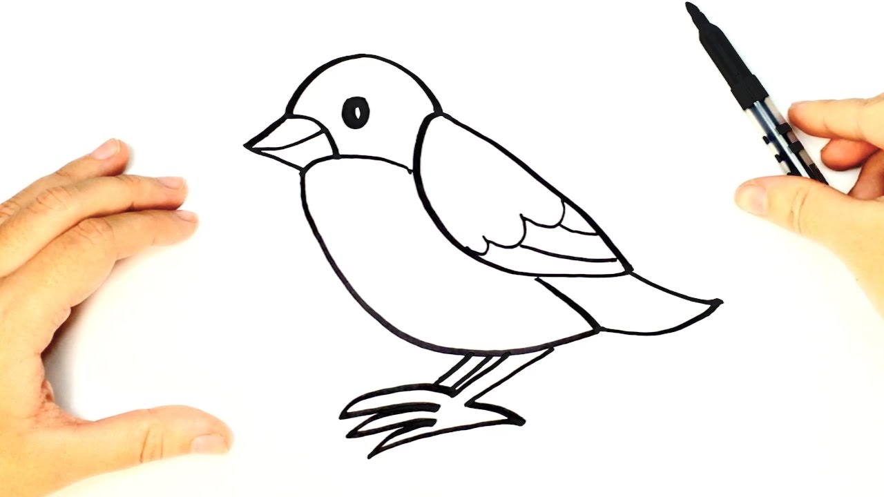 Cómo dibujar un Pájaro paso a paso para niños  Dibujo de animales para  niños, dibujos de Un Pájaro Para Niños, como dibujar Un Pájaro Para Niños paso a paso