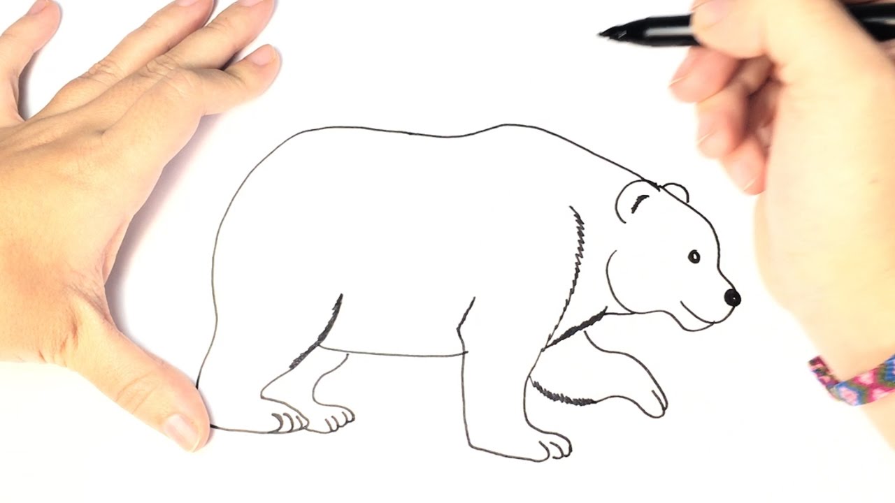 Como dibujar un oso polar para niños paso a paso, dibujos de Un Oso Pardo, como dibujar Un Oso Pardo paso a paso