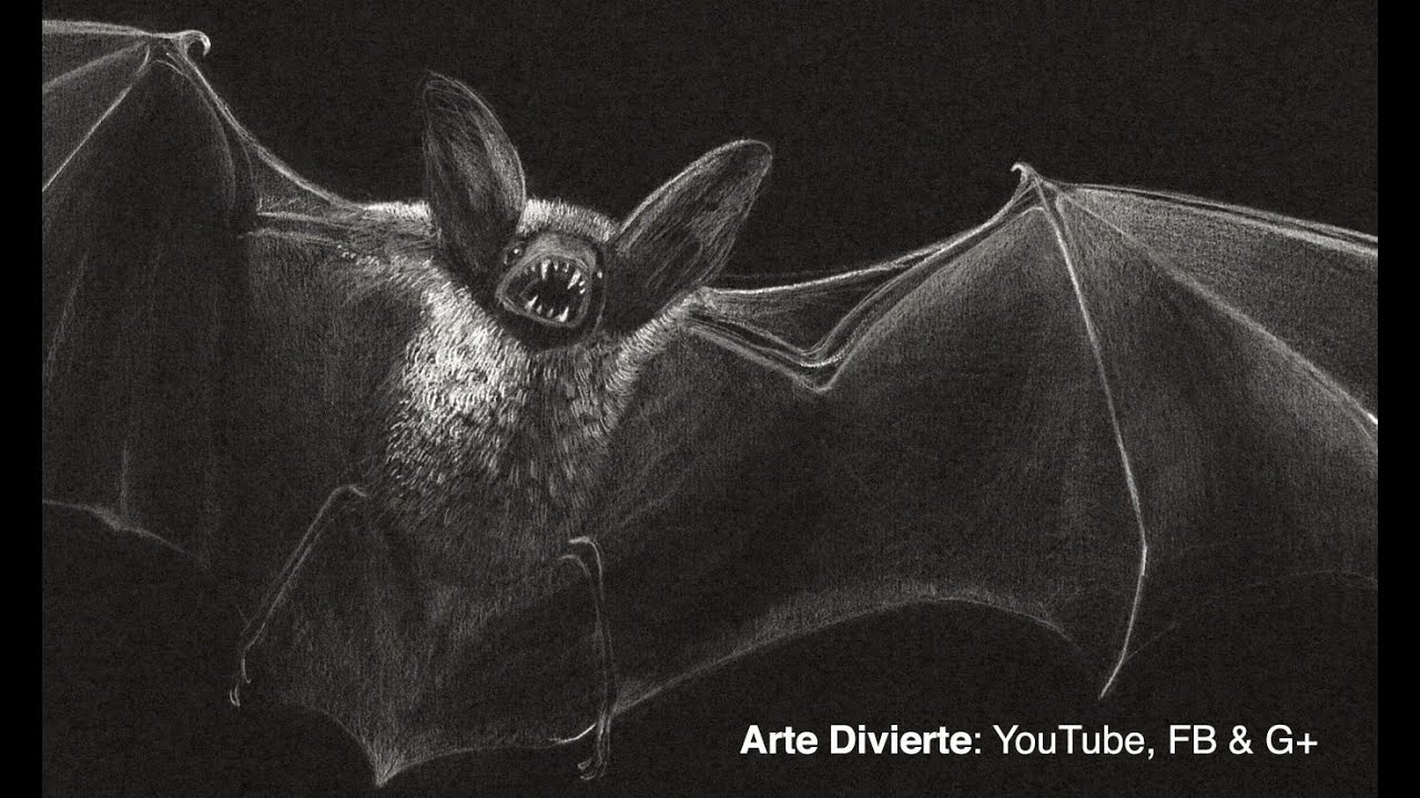 Cómo dibujar un murciélago realista  Tutorial de dibujo paso a paso, dibujos de Un Murciélago Realista, como dibujar Un Murciélago Realista paso a paso