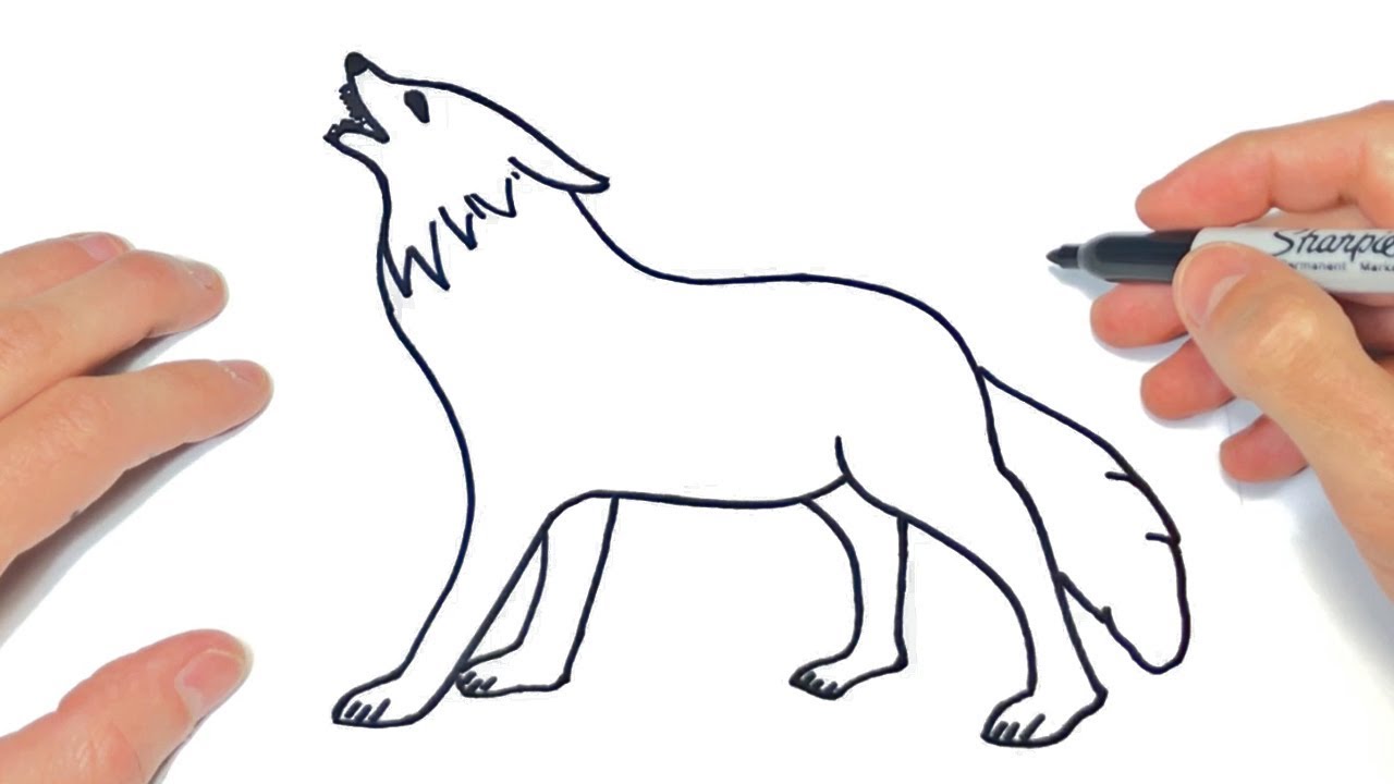 Cómo dibujar un Lobo Paso a Paso  Dibujo de Lobo Salvaje, dibujos de Un Lobo, como dibujar Un Lobo paso a paso
