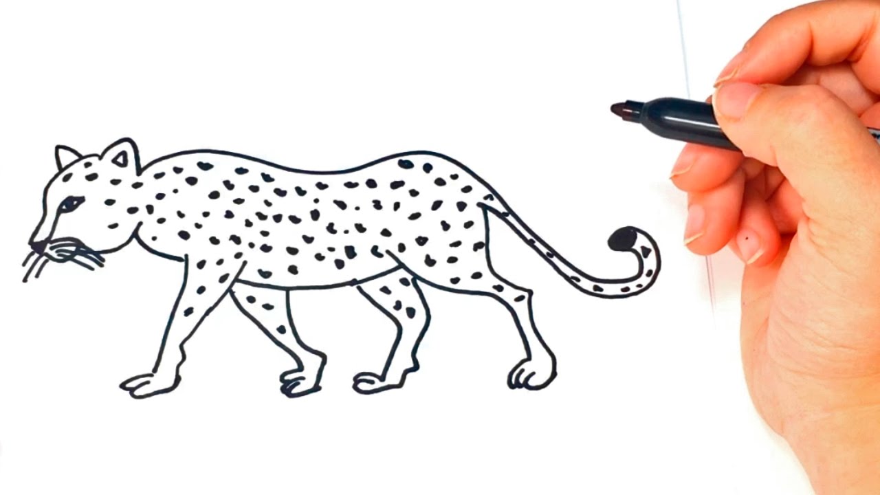 Cómo dibujar un Leopardo paso a paso  Dibujo fácil de Leopardo, dibujos de Un Leopardo, como dibujar Un Leopardo paso a paso
