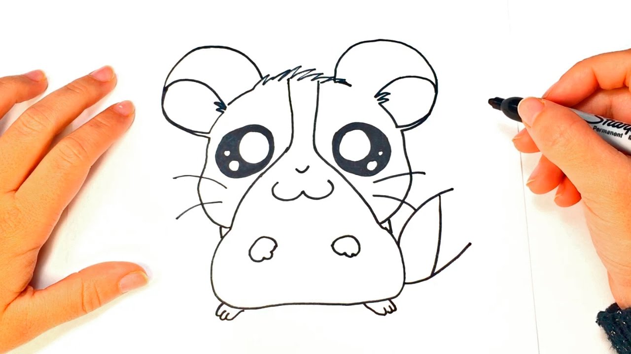 Como dibujar un Hamster Kawaii paso a paso, dibujos de Un Hámster, como dibujar Un Hámster paso a paso