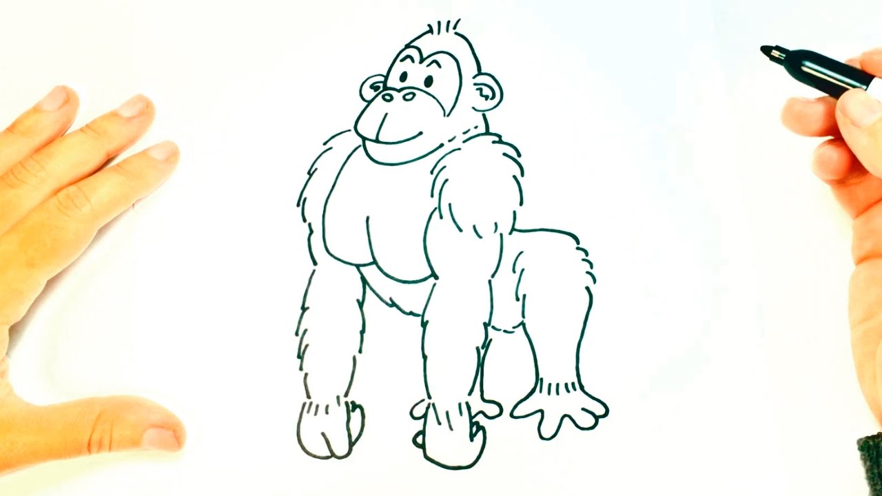 Cómo dibujar un Gorila paso a paso  Dibujo fácil de Gorila, dibujos de Un Gorila, como dibujar Un Gorila paso a paso