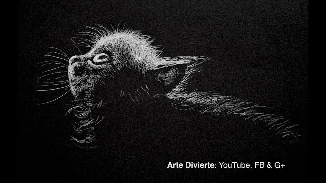 Cómo dibujar un gato - Blanco sobre negro - Narrado, dibujos de Un Gato En Blanco Y Negro, como dibujar Un Gato En Blanco Y Negro paso a paso