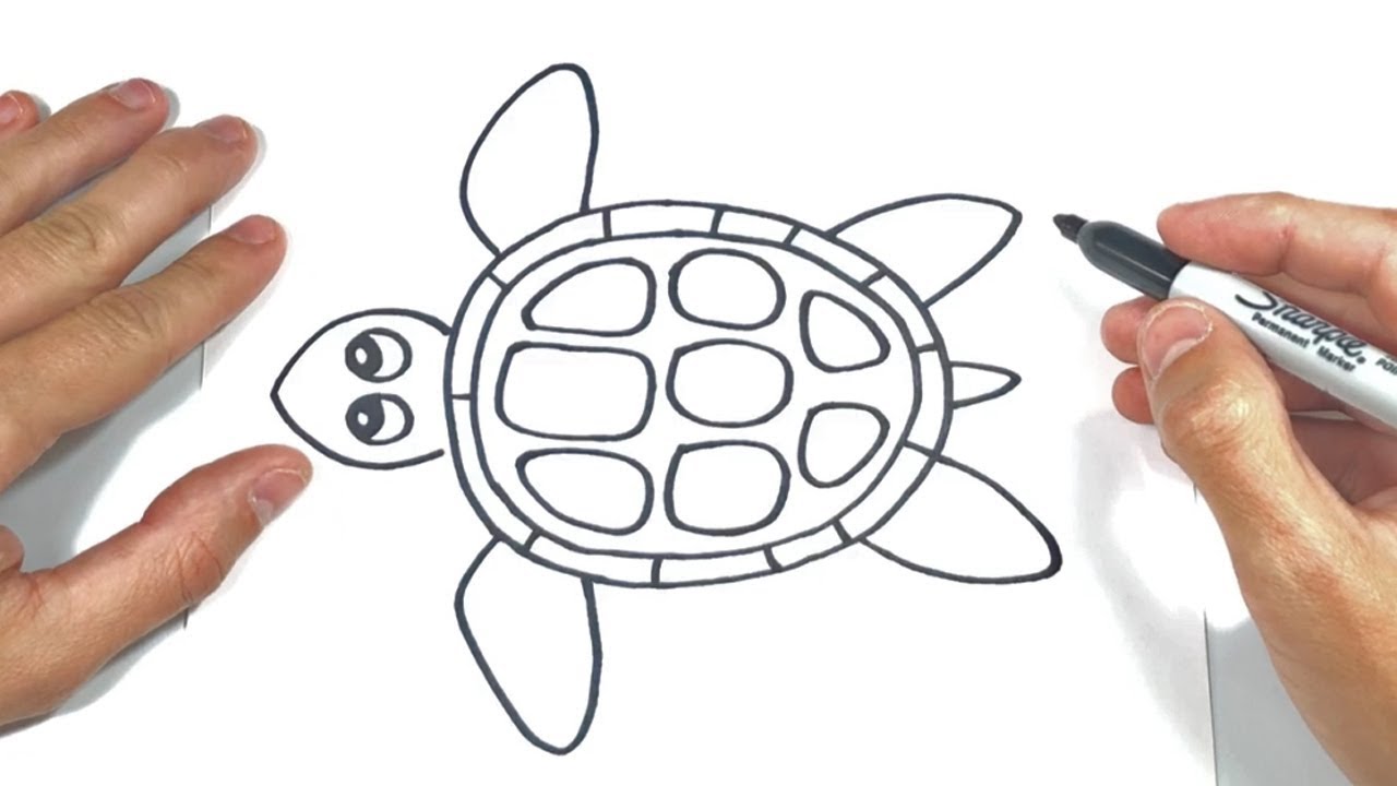 Cómo dibujar un Tortuga Marina Paso a Paso y fácil, dibujos de Una Tortuga, como dibujar Una Tortuga paso a paso