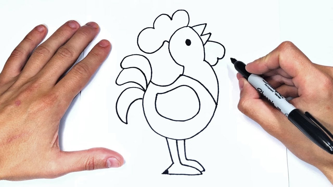 Cómo dibujar un Gallo Paso a Paso y fácil  Aprender a Dibujar, dibujos de Un Gallo, como dibujar Un Gallo paso a paso