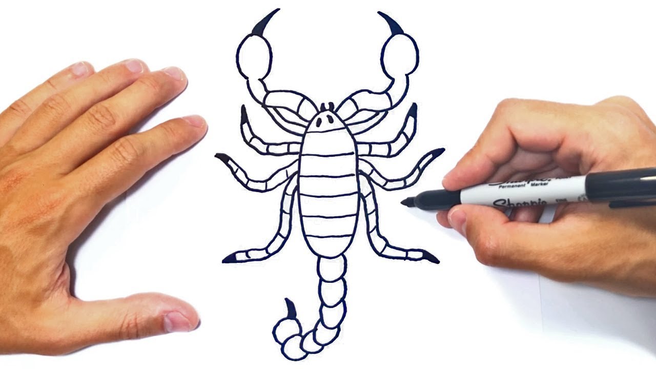 Cómo dibujar un Escorpión Paso a Paso y fácil, dibujos de Un Escorpión, como dibujar Un Escorpión paso a paso