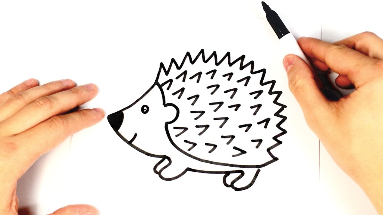 Cómo dibujar un erizo para niños paso a paso, dibujos de Un Erizo, como dibujar Un Erizo paso a paso