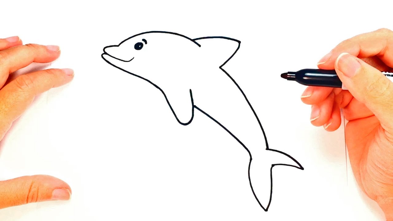 Cómo dibujar un Delfín paso a paso  Dibujo fácil de Delfín, dibujos de Un Delfin, como dibujar Un Delfin paso a paso