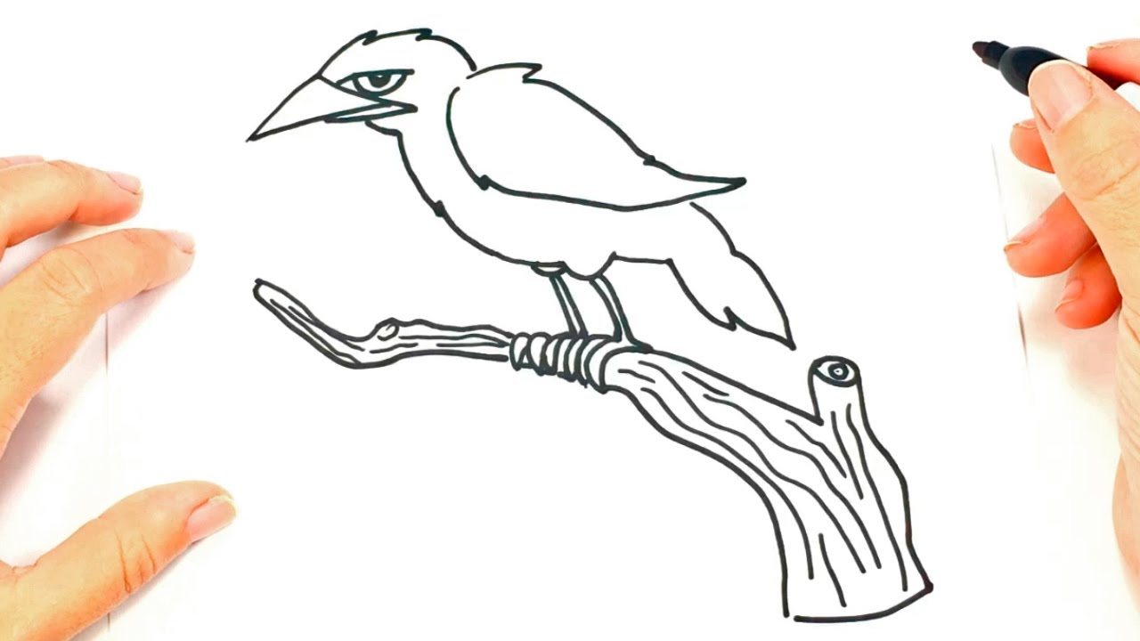Como dibujar un Cuervo paso a paso  Dibujo fácil de Cuervo, dibujos de Un Cuervo, como dibujar Un Cuervo paso a paso