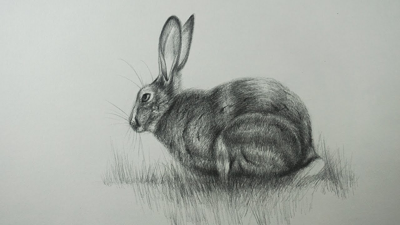 Cómo Dibujar un Conejo a Lápiz Paso a Paso - Tutorial de Dibujo, dibujos de Un Conejo A Lápiz, como dibujar Un Conejo A Lápiz paso a paso