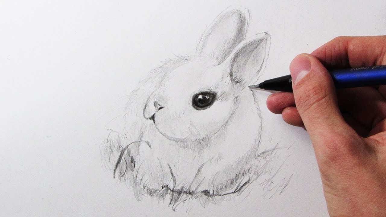 Cómo Dibujar un Conejo (MUY FÁCIL), dibujos de Un Conejito Tierno A Lápiz, como dibujar Un Conejito Tierno A Lápiz paso a paso