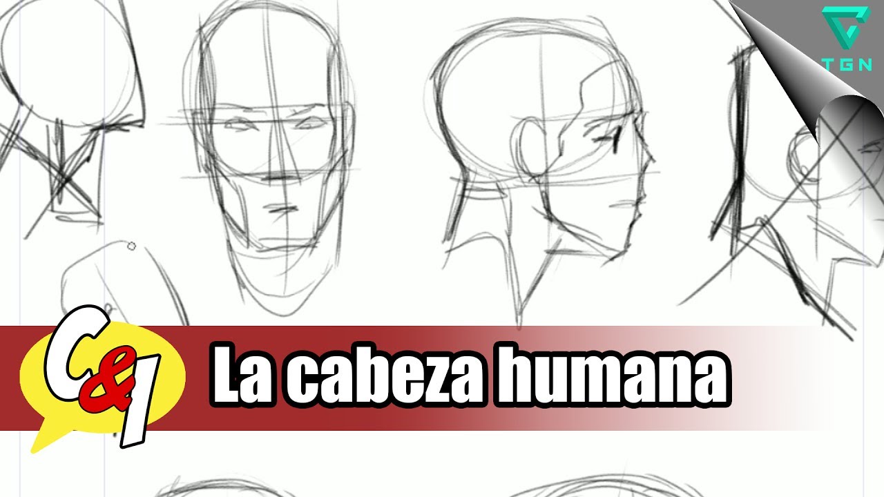 COMO EMPEZAR A DIBUJAR COMICS  31ª clase  Dibujar la cabeza humana, dibujos de Un Colegio, como dibujar Un Colegio paso a paso