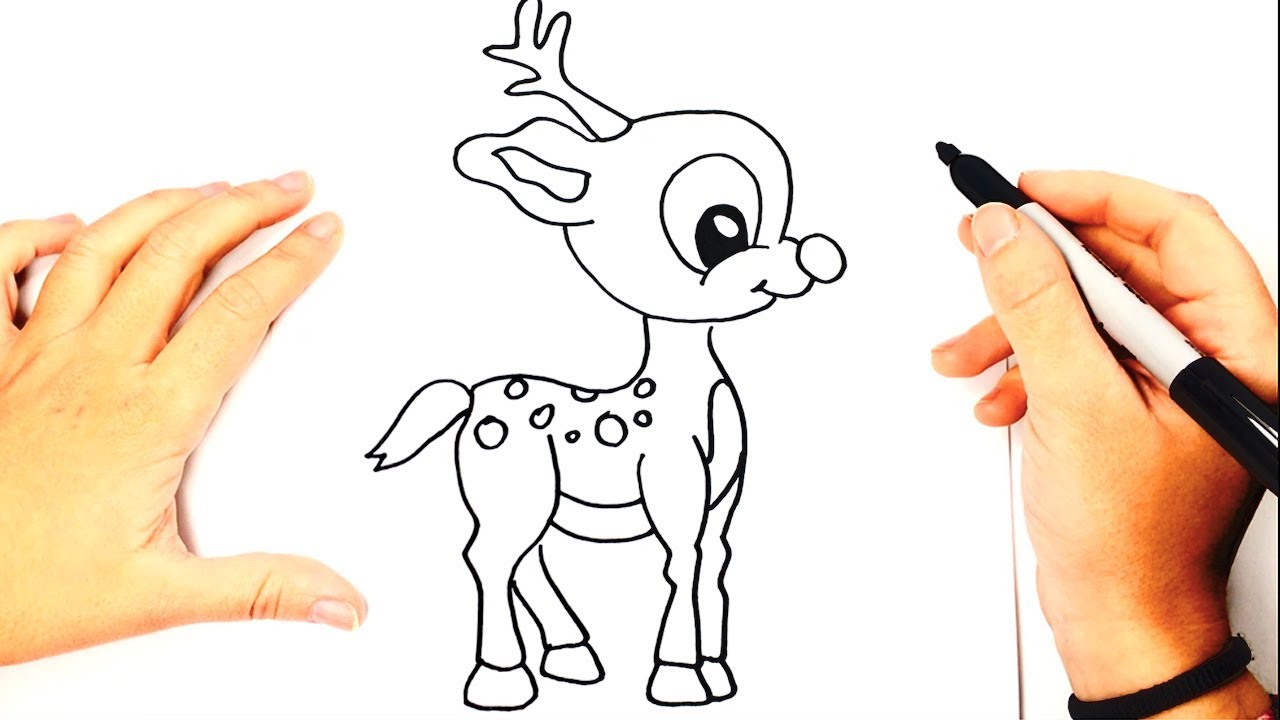 Cómo dibujar un Ciervo paso a paso  Dibujo fácil de Ciervo, dibujos de Un Ciervo, como dibujar Un Ciervo paso a paso