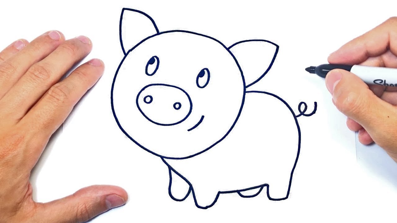 Cómo dibujar un Cerdo Paso a Paso  Dibujo de Cerdo, dibujos de Un Chancho, como dibujar Un Chancho paso a paso