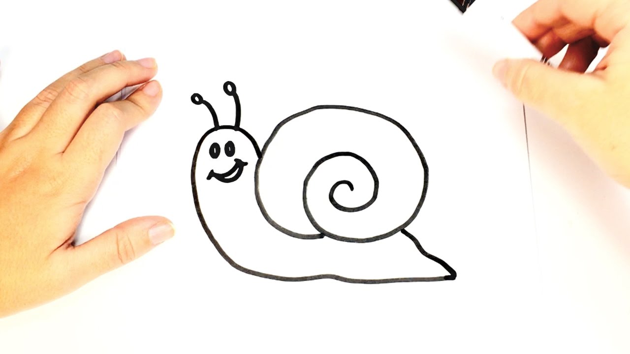 Cómo dibujar un caracol para niños  Dibujo fácil de un caracol paso a paso, dibujos de Un Caracol, como dibujar Un Caracol paso a paso