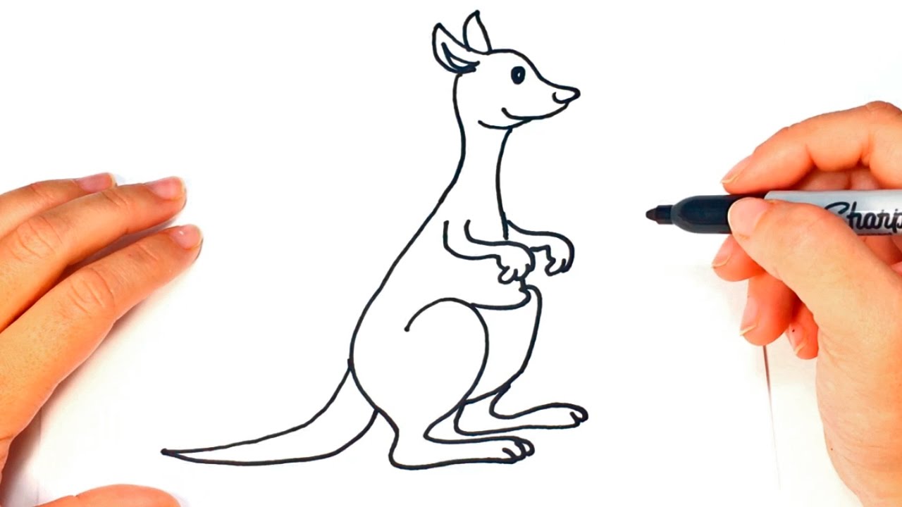 Cómo dibujar un Canguro paso a paso  Dibujo fácil de Canguro, dibujos de Un Canguro, como dibujar Un Canguro paso a paso