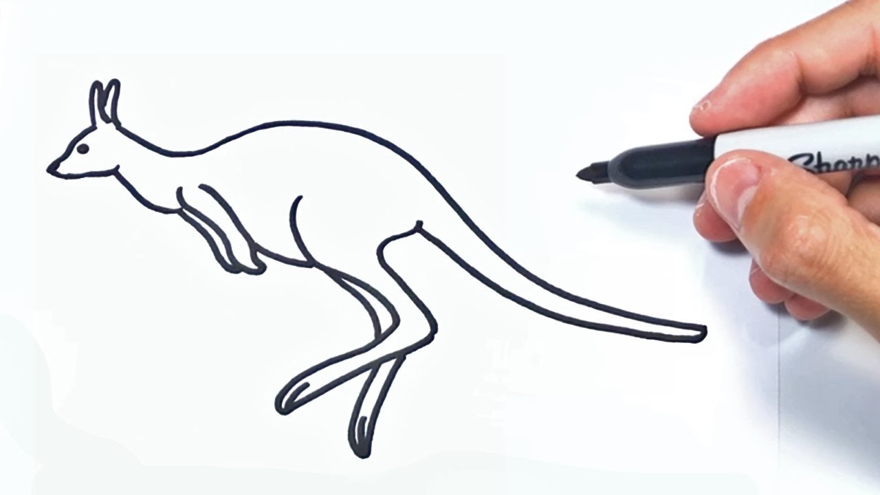 Cómo dibujar un Canguro Paso a Paso  Dibujo de Canguro, dibujos de Un Canguro, como dibujar Un Canguro paso a paso