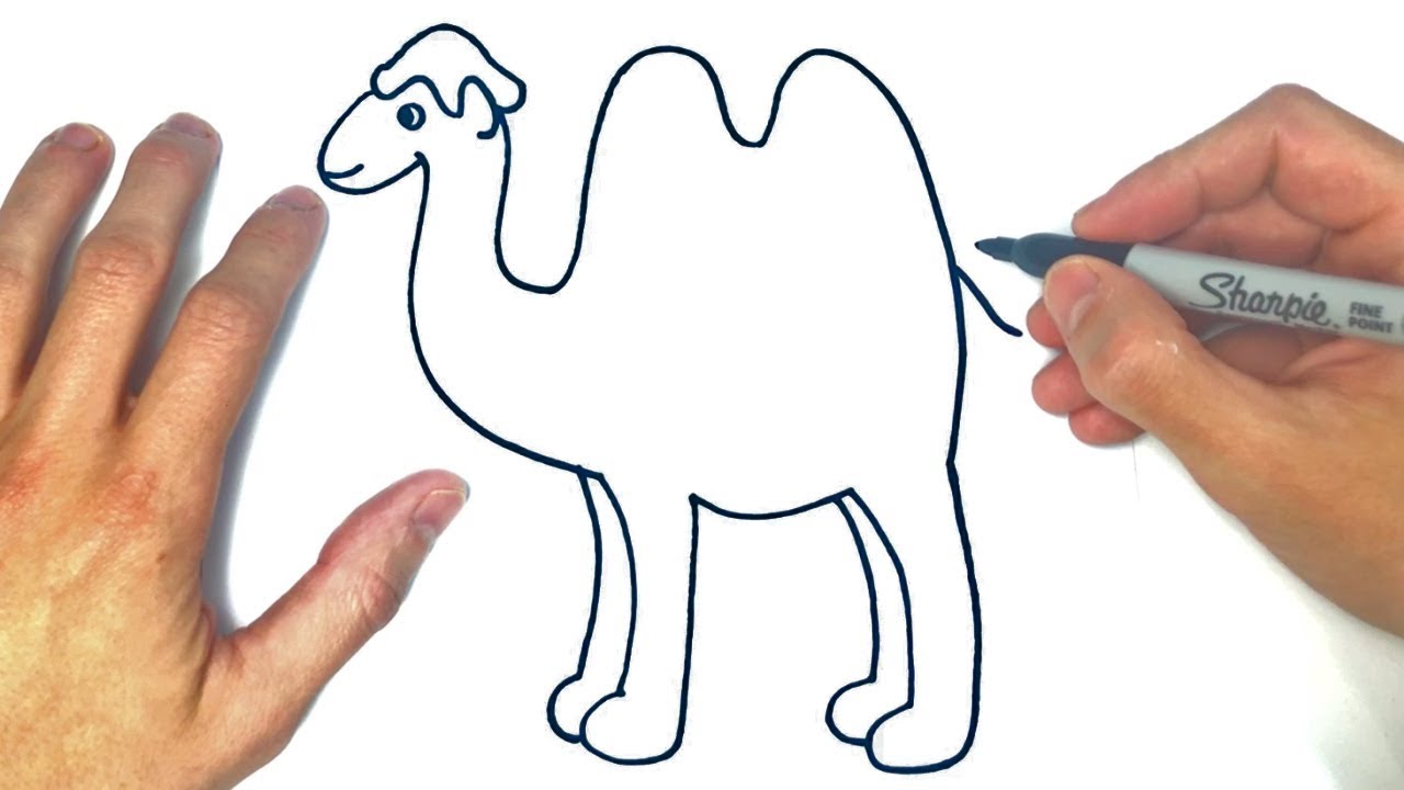 Cómo dibujar un Camello Paso a Paso  Dibujos de Animales, dibujos de Un Camello, como dibujar Un Camello paso a paso