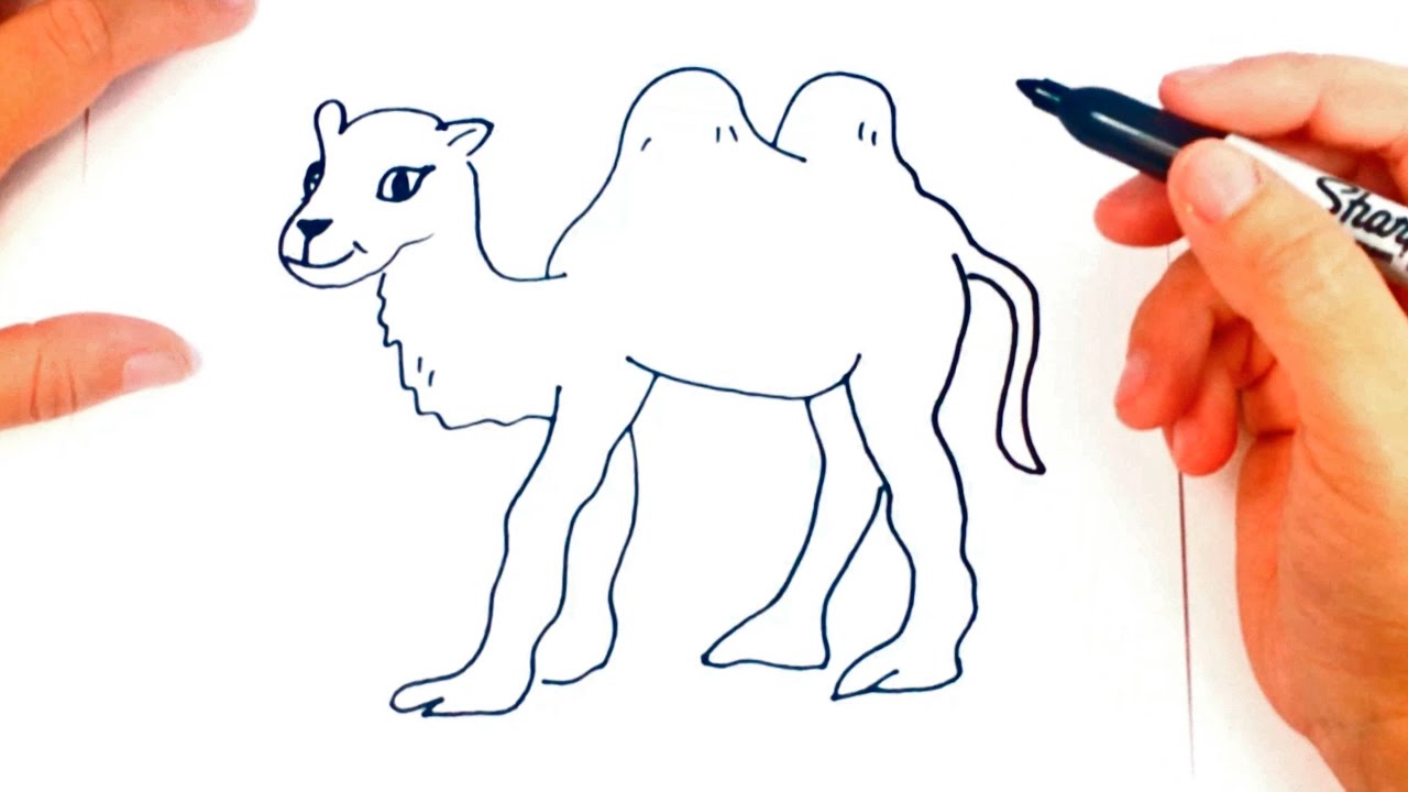 Como dibujar un Camello  Dibujo de Camello paso a paso, dibujos de Un Camello, como dibujar Un Camello paso a paso