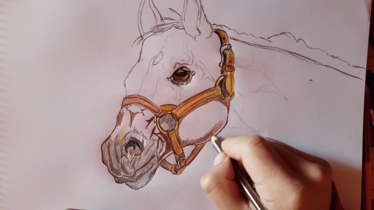 Como DIbujar un caballo realista How to draw realist horse, dibujos de Un Caballo Realista, como dibujar Un Caballo Realista paso a paso