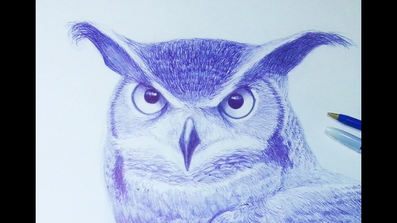 How to draw a realistic Owl - Como dibujar un buho realista - #BIC Drawings, dibujos de Un Búho Realista, como dibujar Un Búho Realista paso a paso