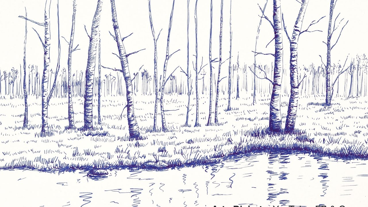 Cómo dibujar un bosque con lago - Con pluma fuente, dibujos de Un Bosque, como dibujar Un Bosque paso a paso