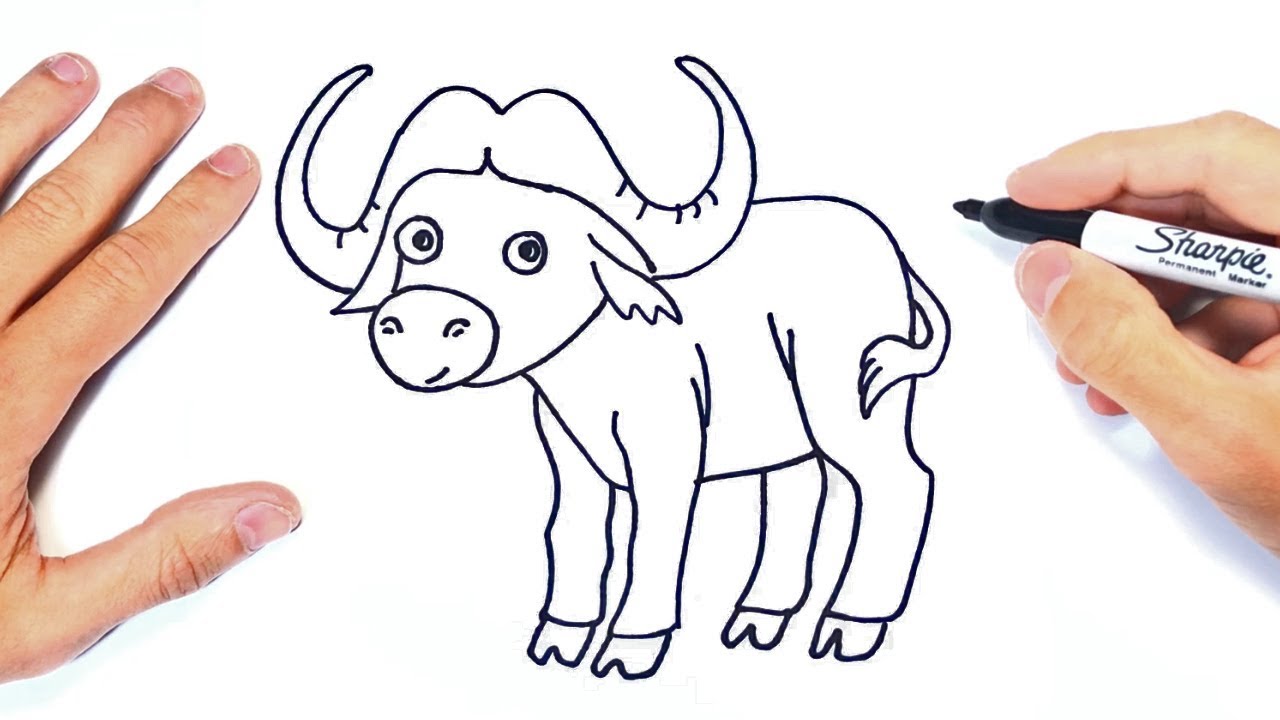 Cómo dibujar un Bufalo Paso a Paso  Dibujo de Bufalo, dibujos de Un Búfalo, como dibujar Un Búfalo paso a paso