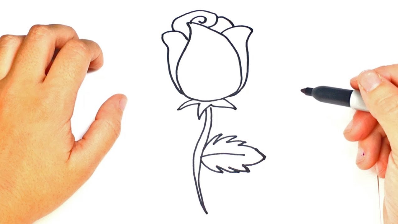 Cómo dibujar un Rosa paso a paso  Dibujo fácil de Rosa, dibujos de Una Rosa Sencilla, como dibujar Una Rosa Sencilla paso a paso