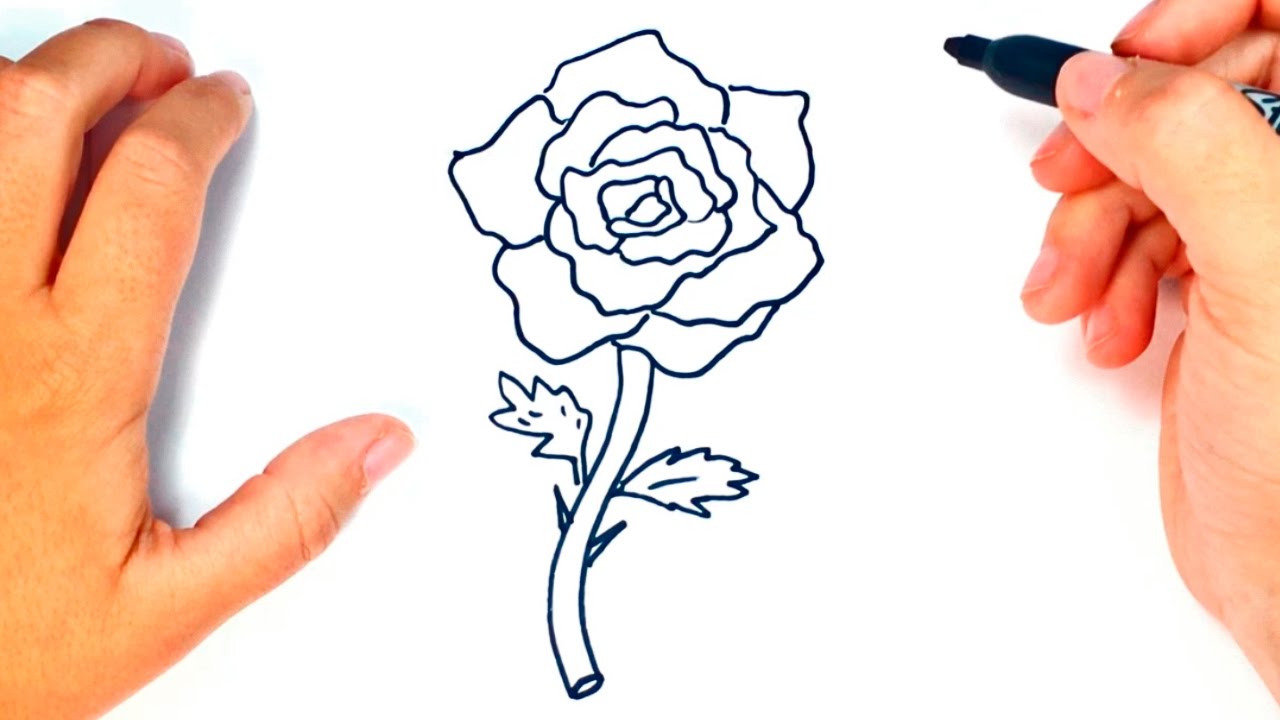 Cómo dibujar una Rosa paso a paso  Dibujo fácil de Rosa, dibujos de Una Rosa Sencilla, como dibujar Una Rosa Sencilla paso a paso