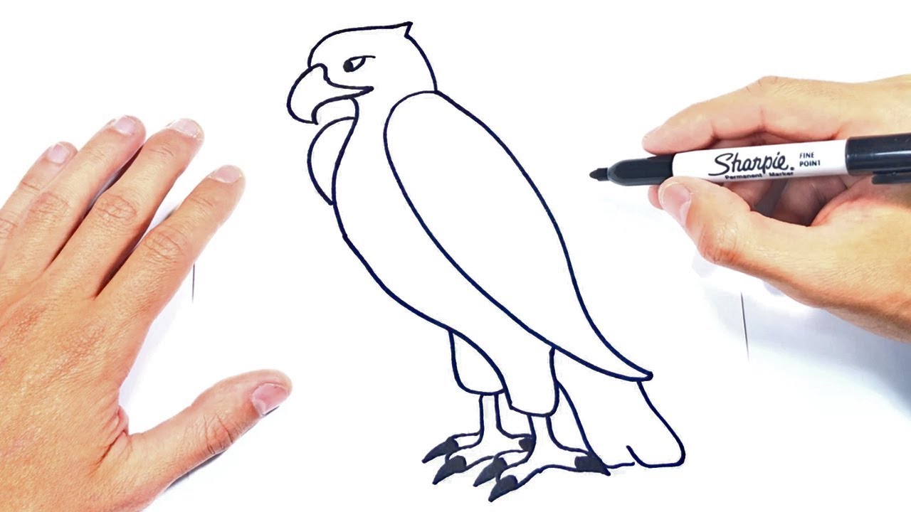 Cómo dibujar un Aguila Paso a Paso y fácil, dibujos de Un Águila, como dibujar Un Águila paso a paso