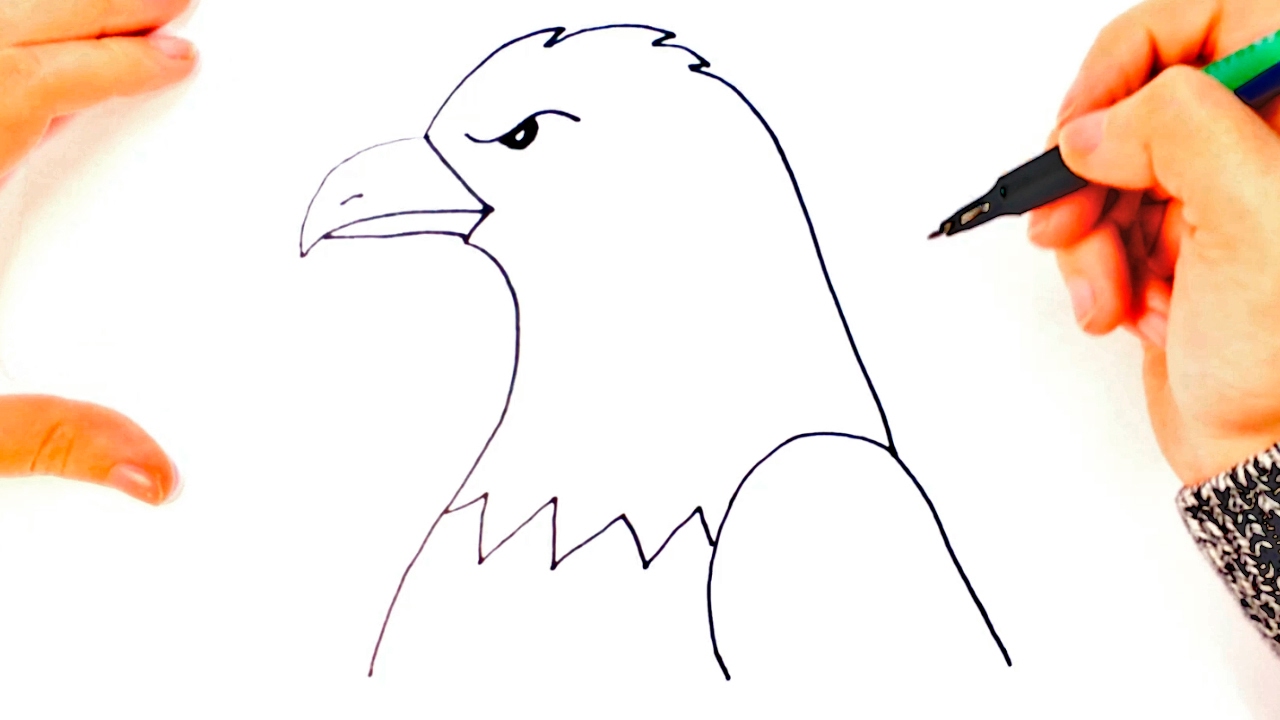 Cómo dibujar un Águila paso a paso  Dibujo fácil de Águila, dibujos de Un Águila, como dibujar Un Águila paso a paso