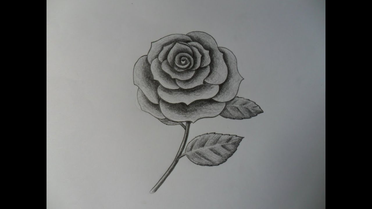 Como dibujar una Rosa  improvisándola - Muy fácil -  How to draw a rose   improvising it -  Very easy -, dibujos de Una Rosa Realista, como dibujar Una Rosa Realista paso a paso